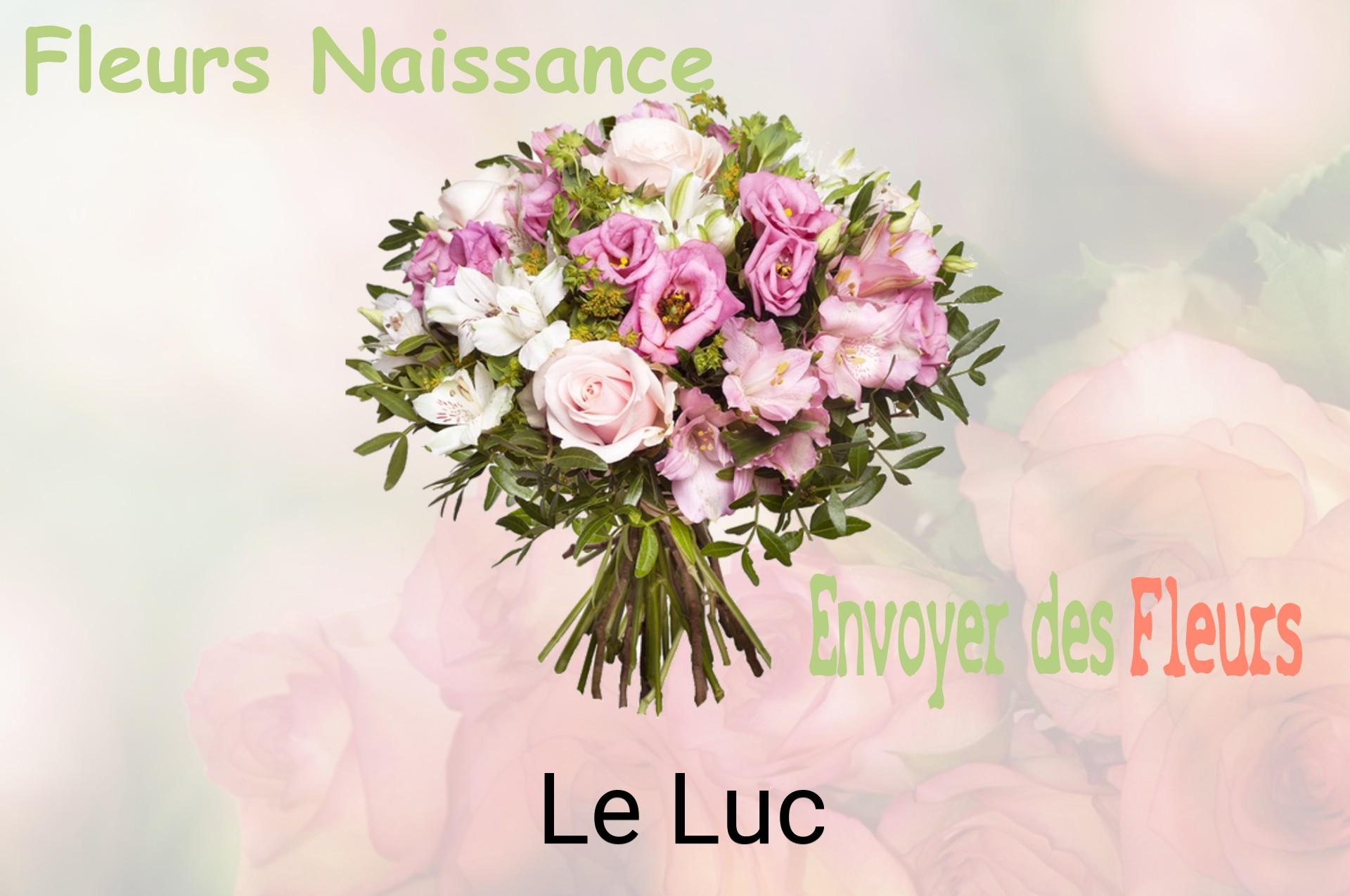 Bouquet de fleurs de naissance livré à Le Luc