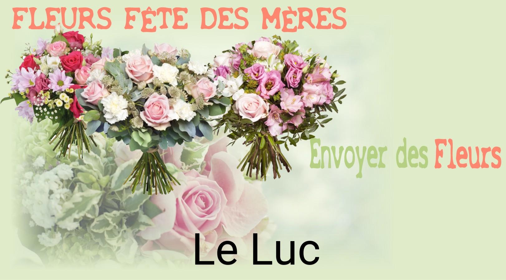 Bouquet de Fête des Mères livré à Le Luc
